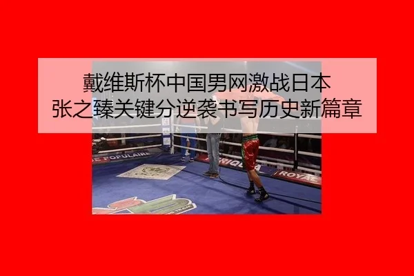 dai-wei-si-bei-zhong-guo-nan-wang-ji-zhan-ri-ben-zhang-zhi-zhen-guan-jian-fen-ni-xi-shu-xie-li-shi-xin-pian-zhang-2-955.jpg