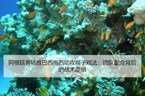 a-gen-ting-ke-chang-sheng-ba-xi-mei-xi-zhu-gong-mao-zi-xi-fa-tuan-dui-pei-he-bei-hou-de-zhan-shu-luo-ji-3-739.jpg